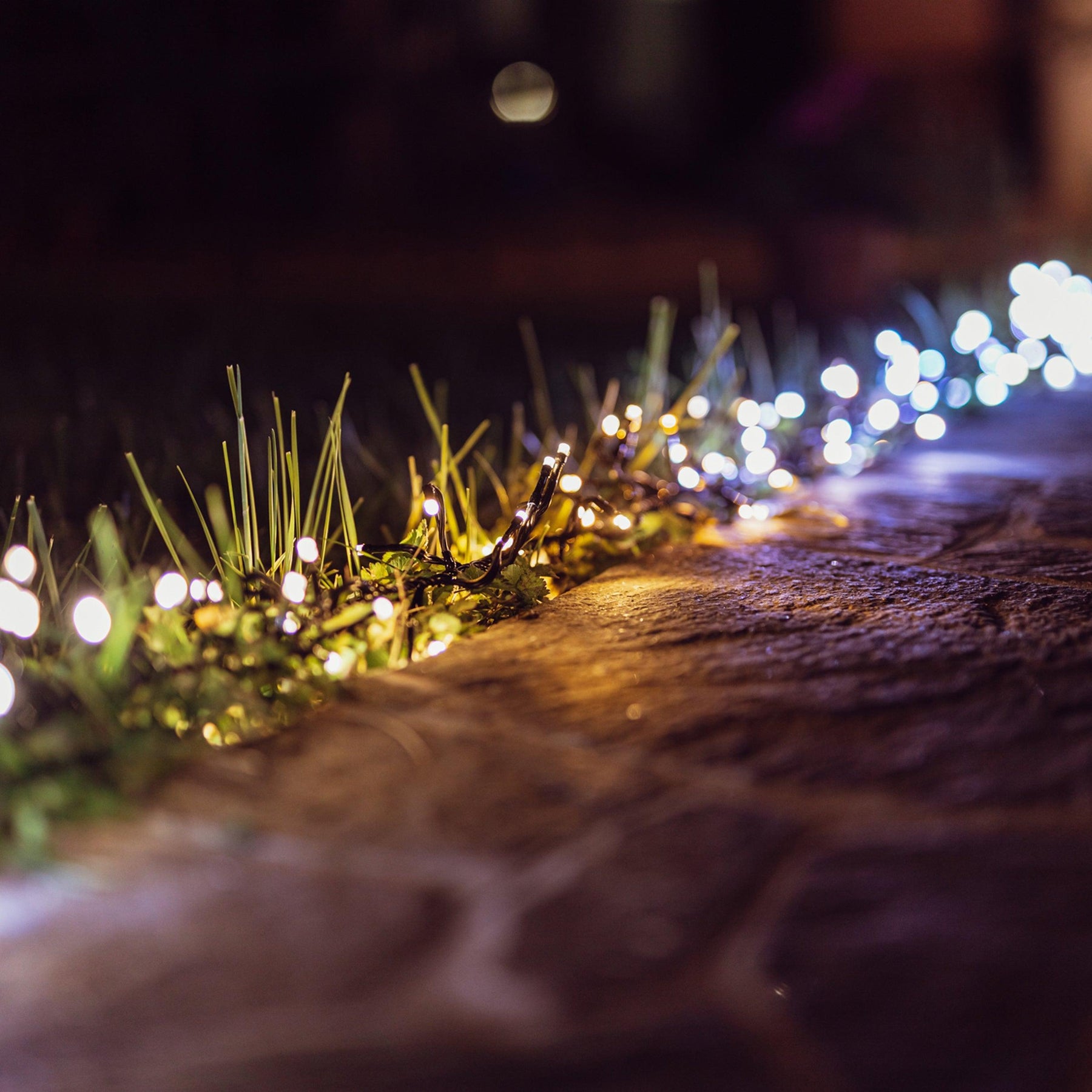 Was kostet der Betrieb einer LED-Lichterkette wirklich?