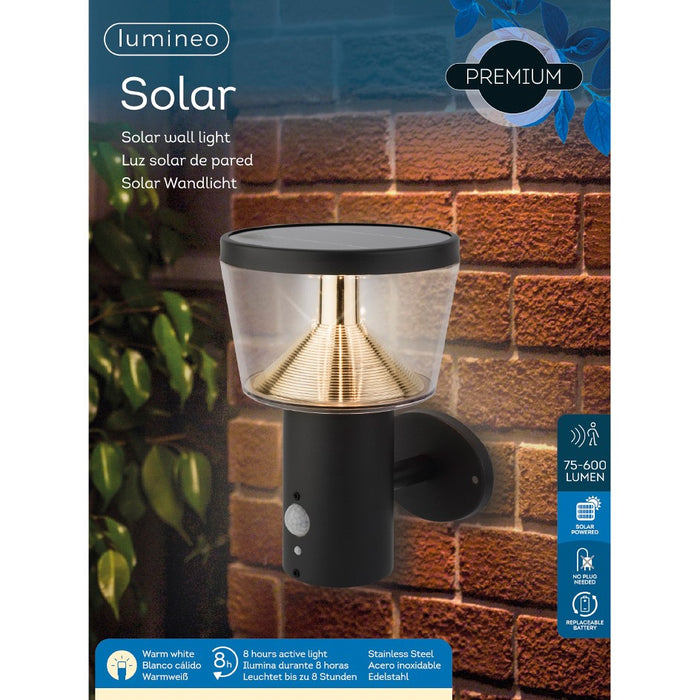 Lumineo Lampada da parete LED a energia solare, 23 cm, rilevatore di movimento, acciaio inox, antracite